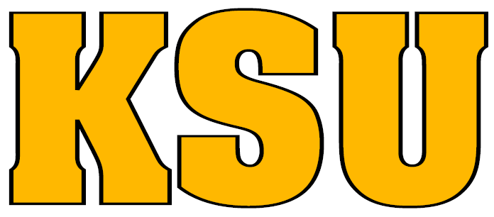 Kennesaw State Owls 0-2011 Wordmark Logo DIY iron on transfer (heat transfer)